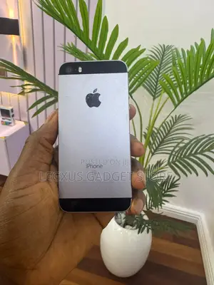 Apple iPhone SE 16 GB Gray