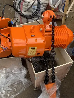 Hot Sales Electric Chain Block 2ton