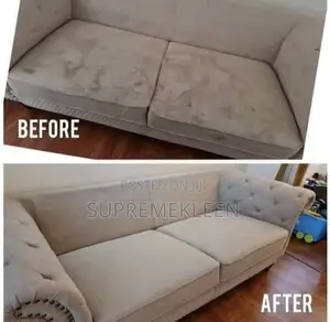 Top Notch Fumigation_sofa Cleaning Service