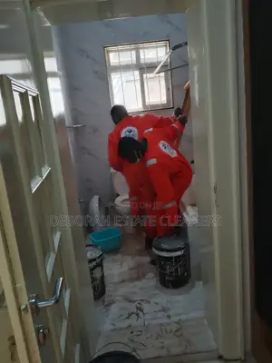 Professional Pest Control and Cleaning Service