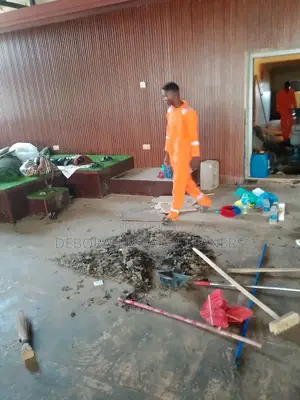 Deep and Standard Home and Office Cleaning