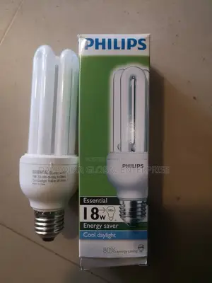 Philps 60W Light