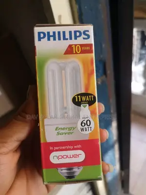 Philps 60W Light