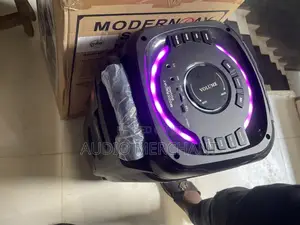 Public Address System With Dual Wireless Microphone