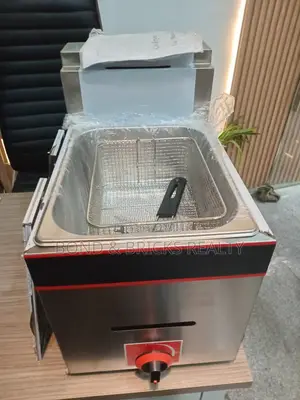 Single Deep Fryer