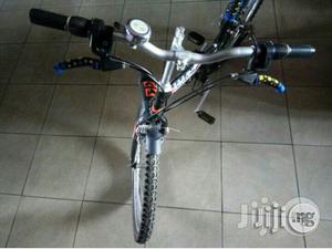 Bicycle for Adults