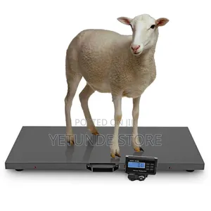 Livestock Scale Electronic Platform Scale for Dog Goat Sheep