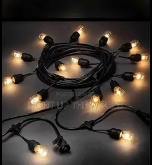Lamp Holder With Bulb