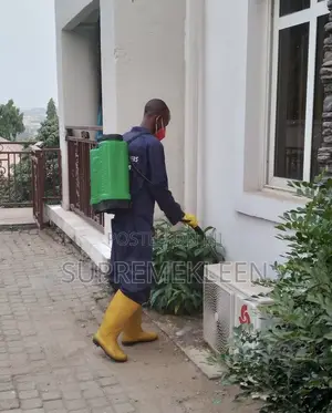 Pest Control Service And Professional Cleaning
