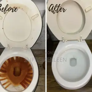 Deep Toilet/Bathroom Cleaning