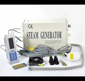 Complete Set Of Steamer Generator For Shower Room 2.5kva