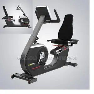 A5100 Recumbent Bike (Dhz Brand)