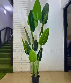 Artificial Traveler Banana Plant – Height:200cm