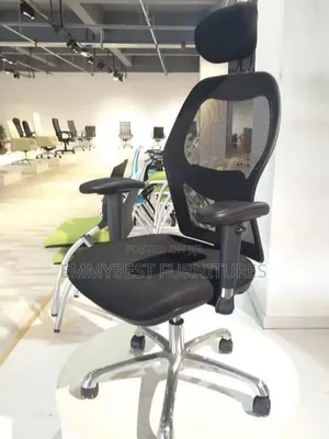 Classic Ergonomic Office Chair.