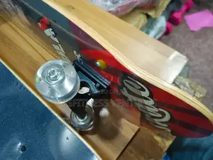 Adult Skateboard