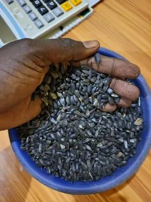Sunflower Seeds