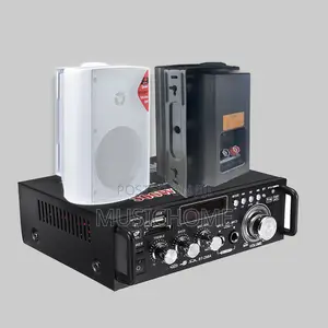 Portable Bluetooth Amplifier and 2pcs Wall Mount Speaker