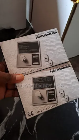Digital Scale Professional Mini 0.01 - 500g