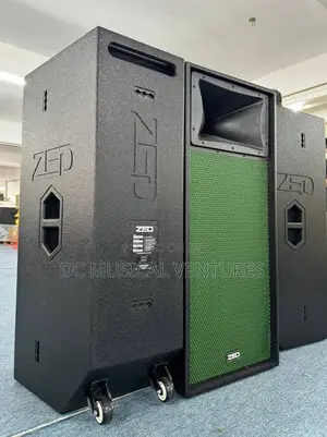 ZED Double Professional Speaker