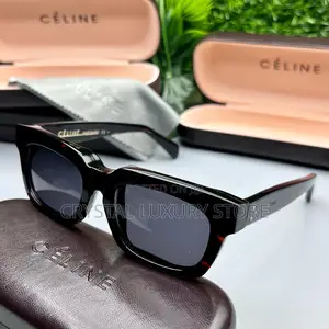 Celine Quality Luxury Men Sunglasses