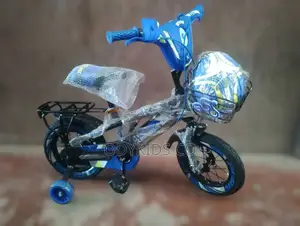 Best Quality Fancy Design Bicycle With Helmet for Age 4to9yr
