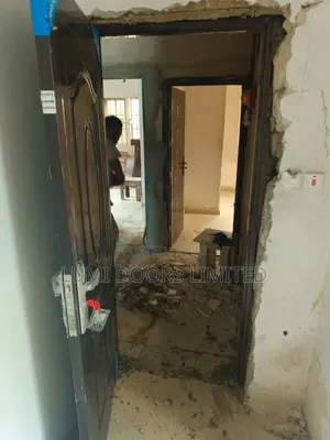 Professional Door Installer