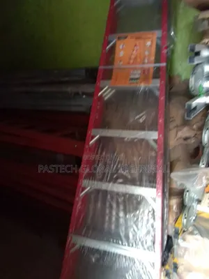 10ft Fiberglass Twin Ladder