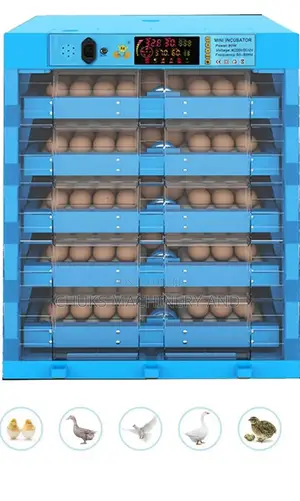 320 Eggs Automatic Dual Power Incubator