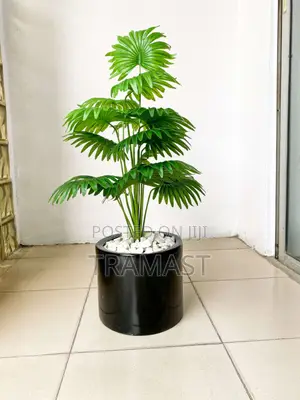Artificial Mini Palm Plants With Cylinder Fiberglass Pot