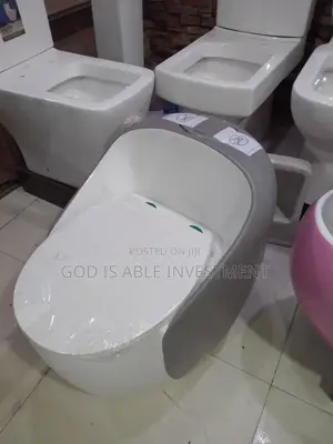 Egg Shape Water Closet