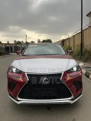 Lexus NX 300 AWD 2020 Red