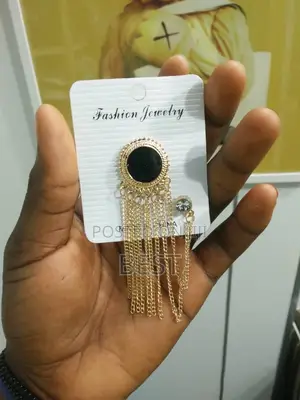 Original Iron Broochs For Suit Lapel And For Senator's Wears