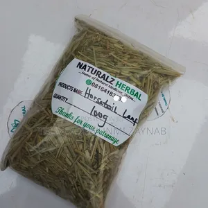 Horsetail Herbs