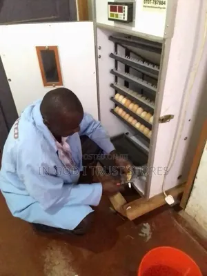 We Offer Incubators Repair and Maintenance, Sales of Parts