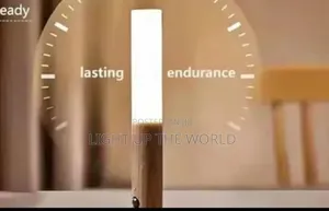 LED Standing Lamp