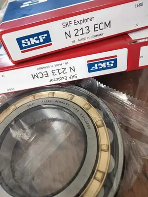 N213ECM SKF Bearing Available