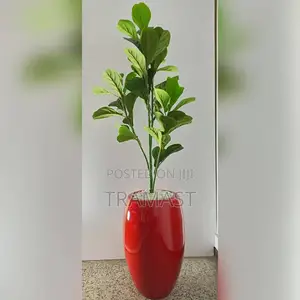 Fiddle Leaves Potted Plant |180cm Height With Fiberglass Pot