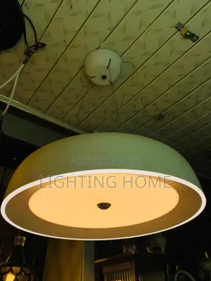 Led Drop Light