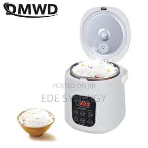 2L Portable Car Rice Cooker Home Use Multifunctional Rice Co