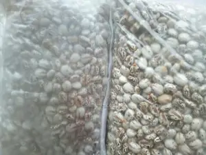Castor Seed (1kg) Organic