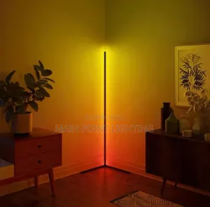 LED Floor Lamp Light
