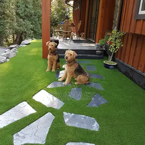 Artificial Grass Carpet at Good Price Specs in Nigeria