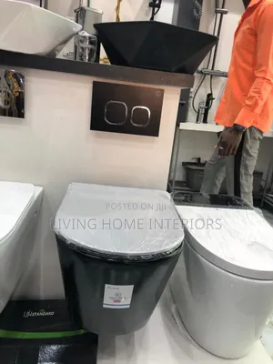 Luxury Black Conceal Toilet Seat