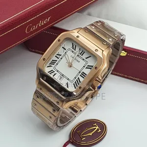 Cartier Sekeletion Chain