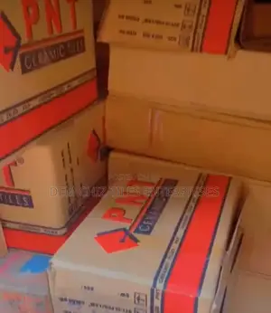 PNT Tiles 25*40