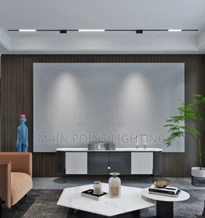 Magnetic Track Light