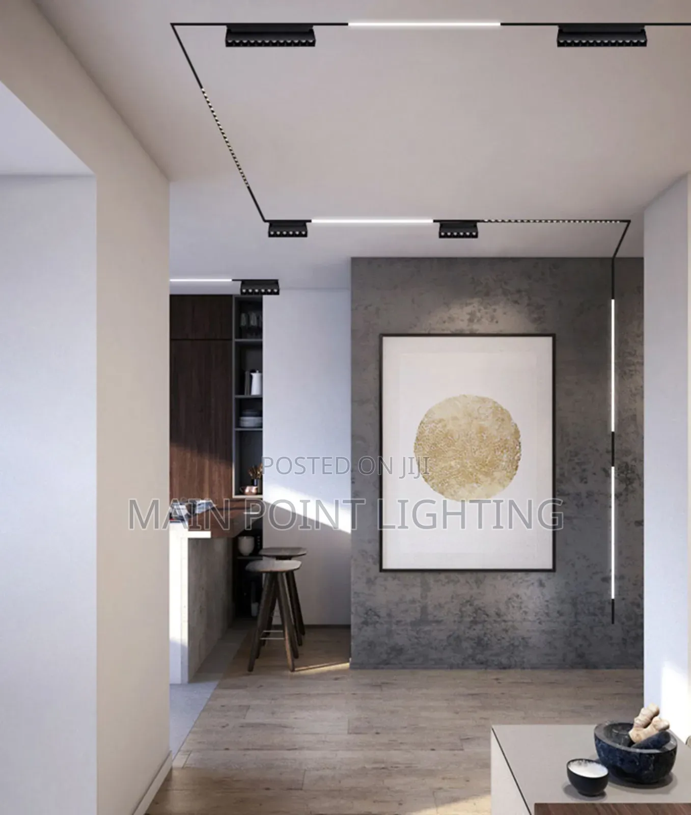 Magnetic Track Light
