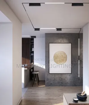 Magnetic Track Light