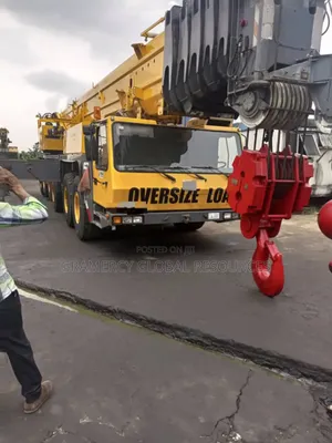 250 Tons Grove Motor Crane for Sale