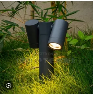 Standing Lamp With Track Light